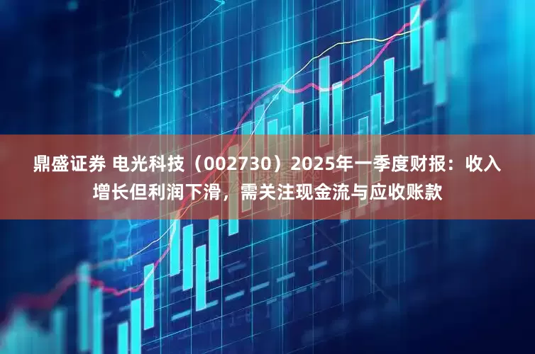 鼎盛证券 电光科技（002730）2025年一季度财报：收入增长但利润下滑，需关注现金流与应收账款